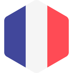 France Flag